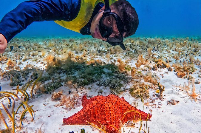 Cozumel's Reefs in El Cielo, Palancar and Columbia Guided Tour - El Cielo Starfish Sandbank and El Cielito’s Manta-Ray Shallows