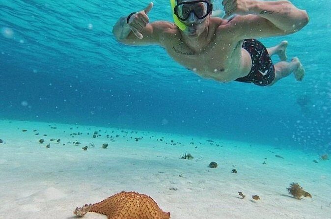 Cozumel's Reefs in El Cielo, Palancar and Columbia Guided Tour - What the Included Food and Drinks Mean for Value