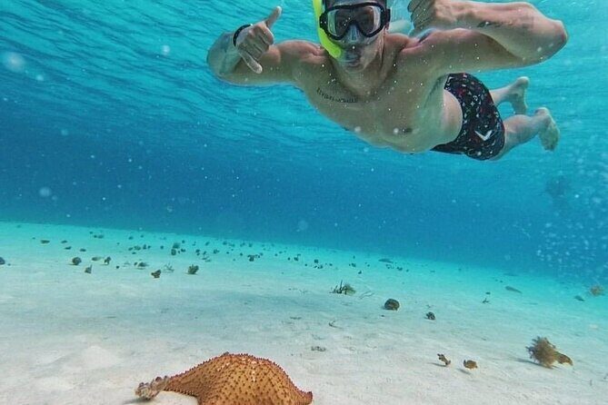 Cozumel's Reefs in El Cielo, Palancar and Columbia Guided Tour - Price, Taxes, and the Real Budget Math