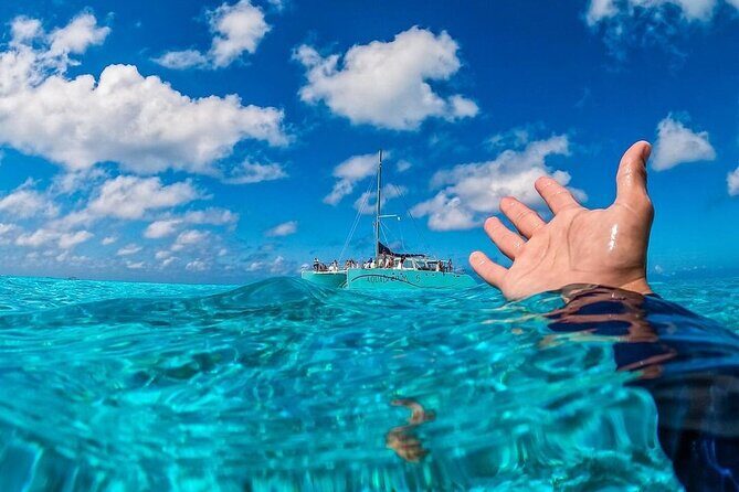 Cozumel's Reefs in El Cielo, Palancar and Columbia Guided Tour - Meeting at the Anchor of Cozumel and Planning for a Smooth Check-In