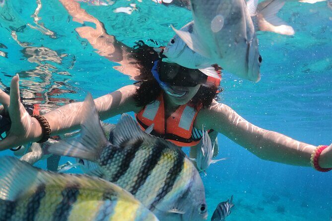 Crystal Boat Tour with Snorkeling and Drinks in Cozumel - The Cozumel cruise: how the time is typically used