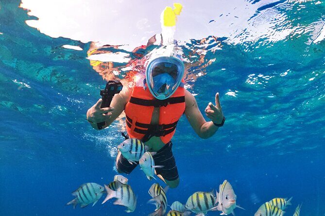 Crystal Boat Tour with Snorkeling and Drinks in Cozumel - Who this tour is best for in Cozumel