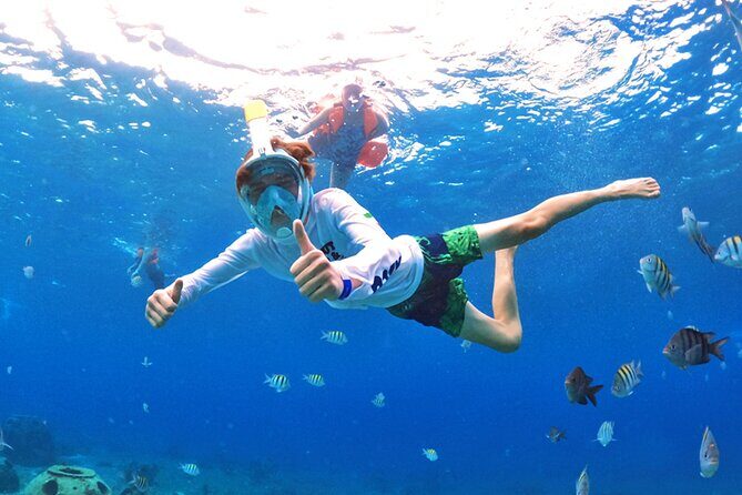 Crystal Boat Tour with Snorkeling and Drinks in Cozumel - Final call: should you book the Crystal Boat with snorkeling?