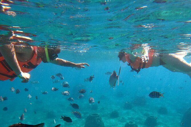 Crystal Boat Tour with Snorkeling and Drinks in Cozumel - FAQ