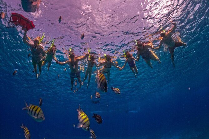Crystal Boat Trip and Snorkeling Tour from Cozumel - What You Get Included: Drinks, Gear, and a Crew That Guides