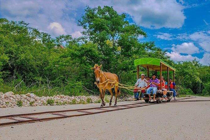 Cuzama Cenotes Adventure Day Trip - Pickup, the Yucatán highway, and the Acanceh stop you’ll remember