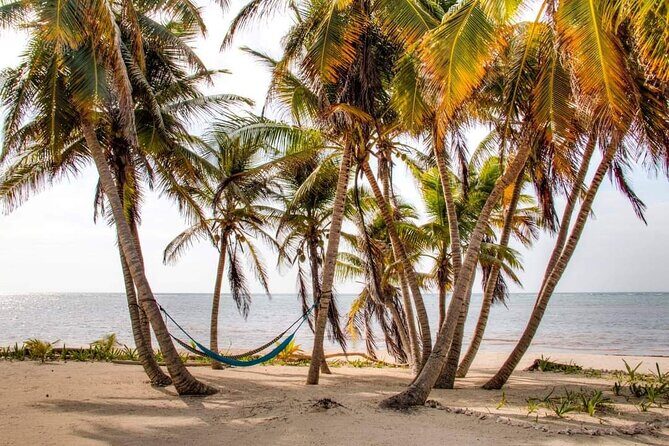 Day Pass to Private Clothing Optional Beach Resort in Xcalak - Clothing-Optional Comfort: Beach Time, Towels, and Sun Prep