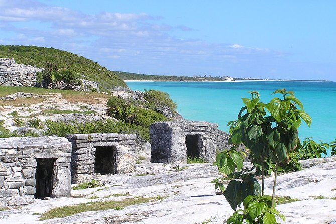 Day Trip to Tulum, Coba and Cenote Maya - Stop 3: Cenote swim at Kuxtal (or a cenote swap) and lunch
