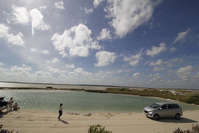De Valladolid:Rio lagartos+Coloradas+Ek Balam+Cenote(Transporte) - Price and value: what the $98.51 really covers