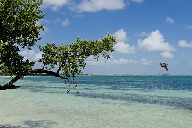 Deep into Nature at Sian Ka'an Biosphere! Round Transportation From Riviera Maya - The buffet lunch: simple choices, good energy return