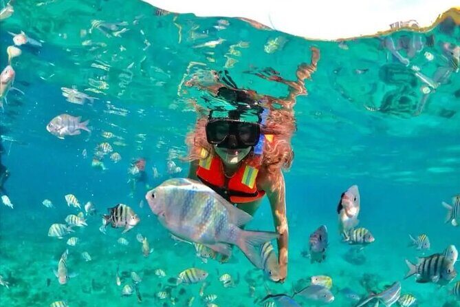 Deluxe Catamaran to Isla Mujeres with Open Bar from Cancun - Snorkeling stop: best-case coral watching vs. crowded-water reality