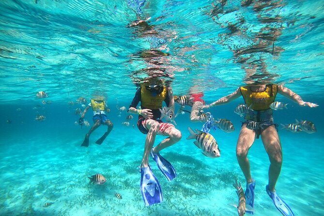 Deluxe Catamaran to Isla Mujeres with Open Bar from Cancun - Cancun return at sunset: closing moments that land