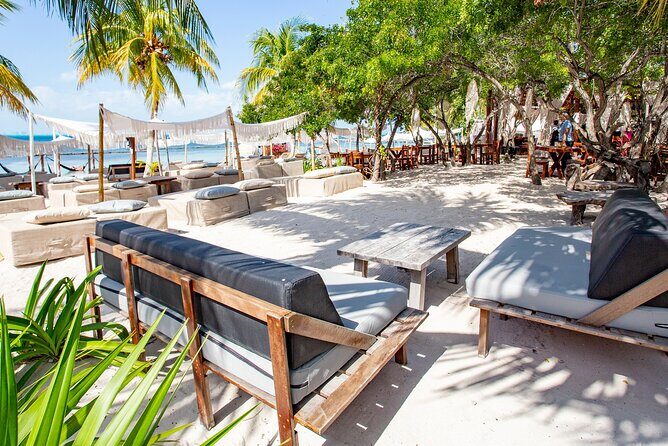Deluxe Catamaran tour to Isla Mujeres with Open Bar and Lunch - Albatros Beach Club for lunch: what’s included and what to expect