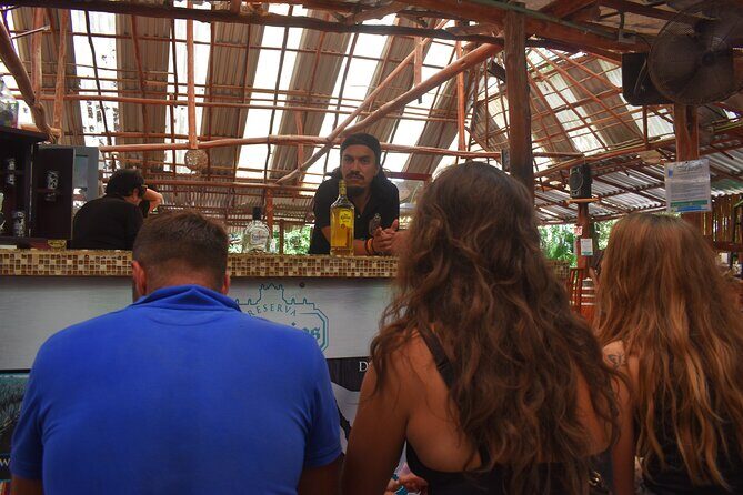 Discover 3 amazing cenotes. Includes transport & snack - The 5-Hour Cenotes Route: What Happens at Each Stop