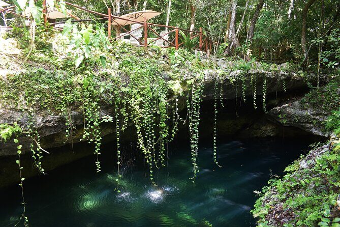 Discover 3 amazing cenotes. Includes transport & snack - Staying Safe and Comfortable: Rules You Should Actually Plan For