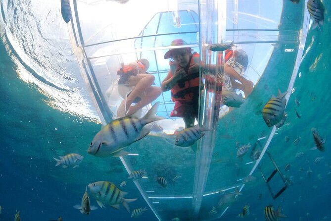Discover Cozumel in a Transparent Boat! - Key things to know before you go