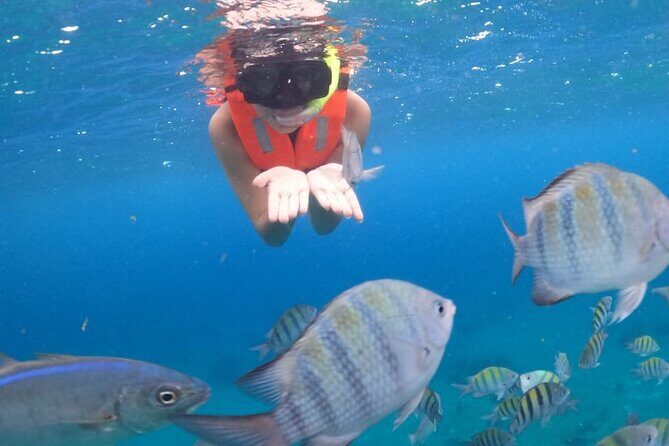 Discover Cozumel in a Transparent Boat! - Onboard Drinks and the Comfort Factor
