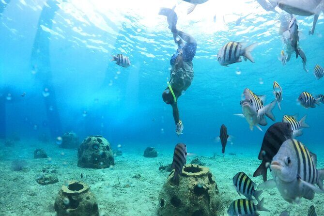 Discover Cozumel in a Transparent Boat! - Who Should Book This Cozumel Transparent Boat Tour