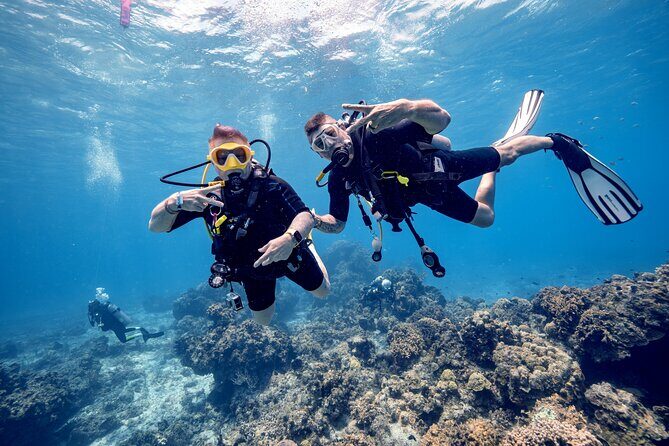 Discover Diving in the Reefs of Cozumel - First-time scuba in Cozumel’s calm, clear water