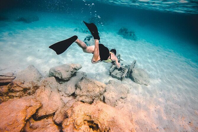 Discover Isla Contoy & Isla Mujeres: Nature, Snorkel & Beaches - The boat ride experience: staff energy and real safety focus