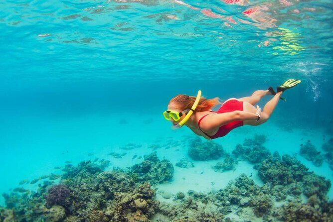 Discover Isla Contoy & Isla Mujeres: Nature, Snorkel & Beaches - Guides and group flow: bilingual help, and snorkeling gets organized