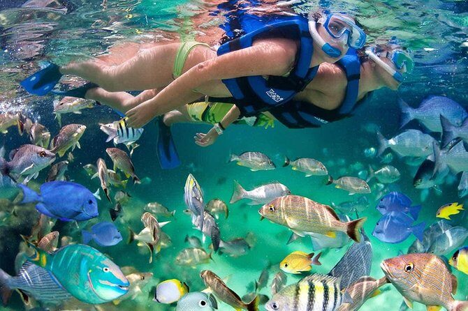 Discover Isla Mujeres tour with snorkel, buffet and open bar - Should you book this tour or look for another option?