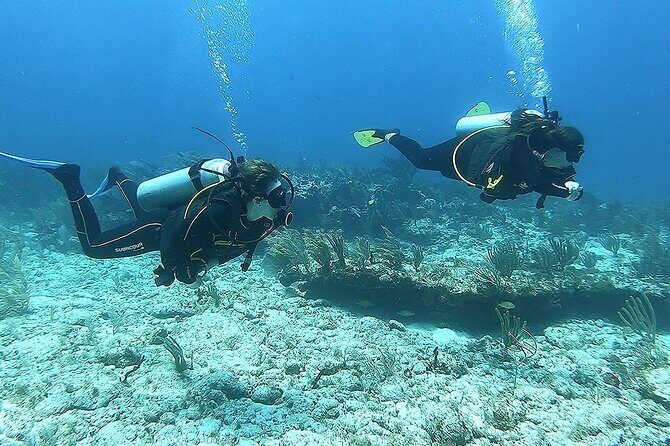 Discover Scuba - Puerto Morelos reef time without the certification pressure