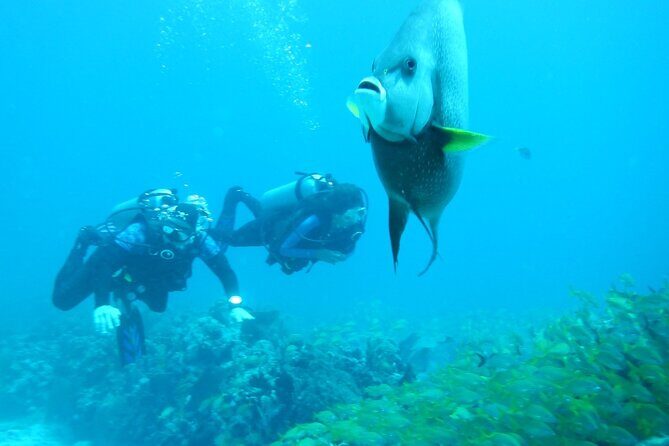 Discover Scuba - Gear, wetsuits, and the sunscreen rule that trips people up