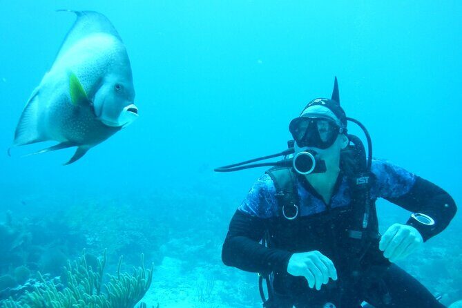 Discover Scuba - Instructor quality is the real differentiator here