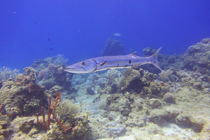 Discover Scuba - Health checks, flying timing, and weather that can change your plans