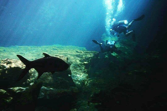 Discover Scuba Diving at Casa Cenote - Mario and the Flying Fish Tulum team: why the coaching style matters