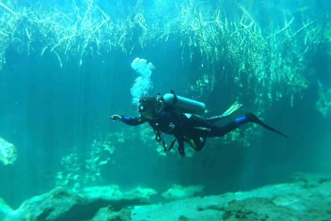 Discover Scuba Diving at Casa Cenote - Price and value: is $190 a good deal for a first scuba session?