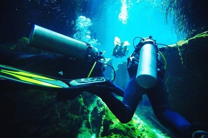 Discover Scuba Diving at Casa Cenote - Meet at Calle Polar Pte. 36: timing and how to plan your day