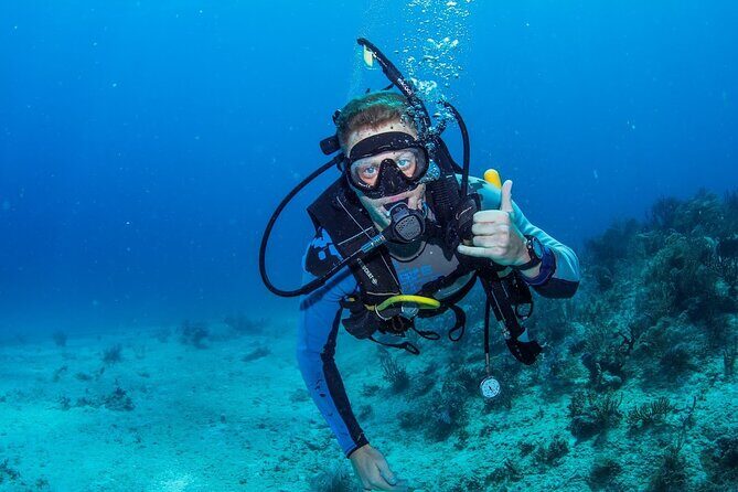 Discover Scuba Diving at Cozumel Marine Park - Two shallow reef sessions: what your time under the surface is like