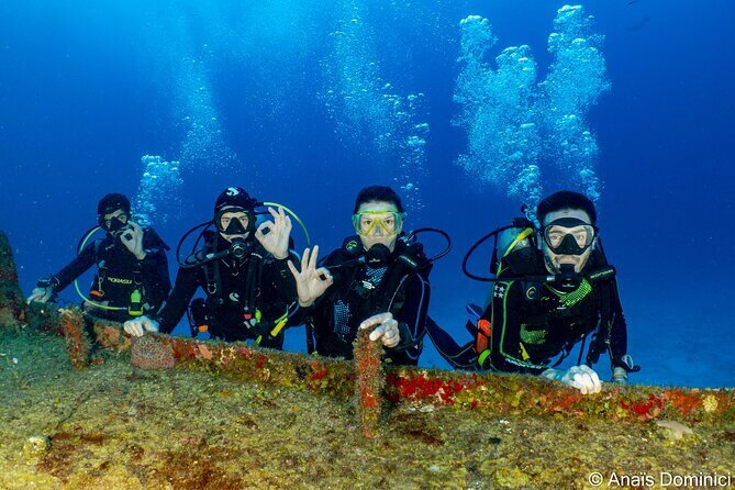 Discover Scuba Diving at Cozumel Marine Park - Pool training first: you learn skills before you go underwater