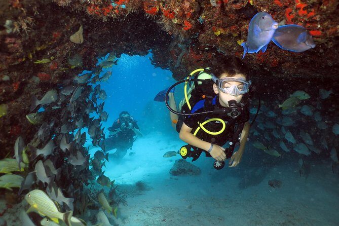 Discover Scuba Diving Course in Playa del Carmen with Two Coral Reef Dives - What this is: a no-cert scuba tryout that still teaches the basics