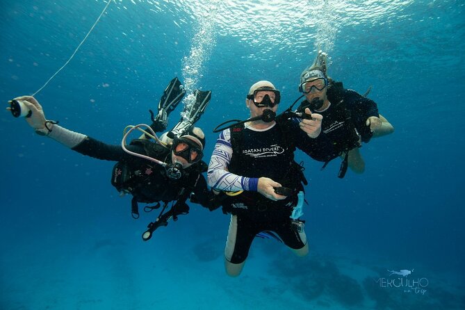 Discover Scuba Diving in Cozumel - Shallow water practice (3–4 feet): the confidence builder