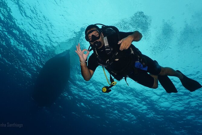 Discover Scuba Diving in Cozumel - The guided underwater session up to 20 feet
