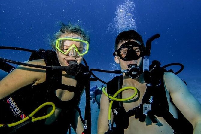 Discover Scuba Diving in Cozumel Paradise Reef - Tank 1 at Paradise Shallows: your first real reef moments