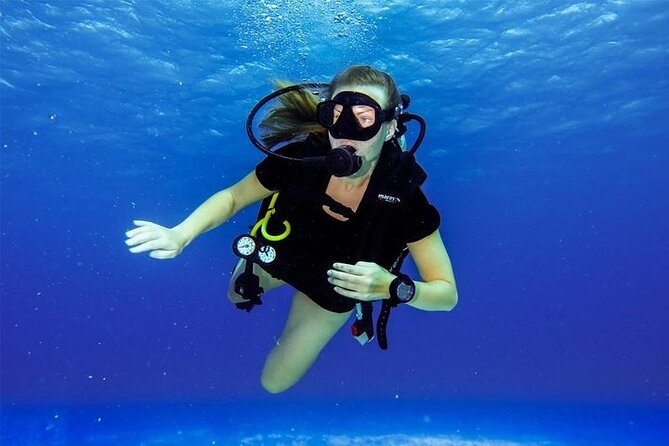 Discover Scuba Diving in Cozumel Paradise Reef - Tank 2 at Paradise Reef: coral, sea fans, and big animal chances