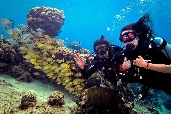 Discover Scuba Diving in Cozumel Paradise Reef - Value and timing: why the format feels worth it (and one watch-out)
