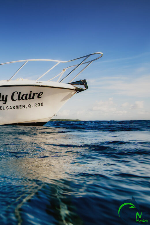 Discover Scuba Diving in Playa del Carmen - 2 dives - Who should book this, and who should skip it