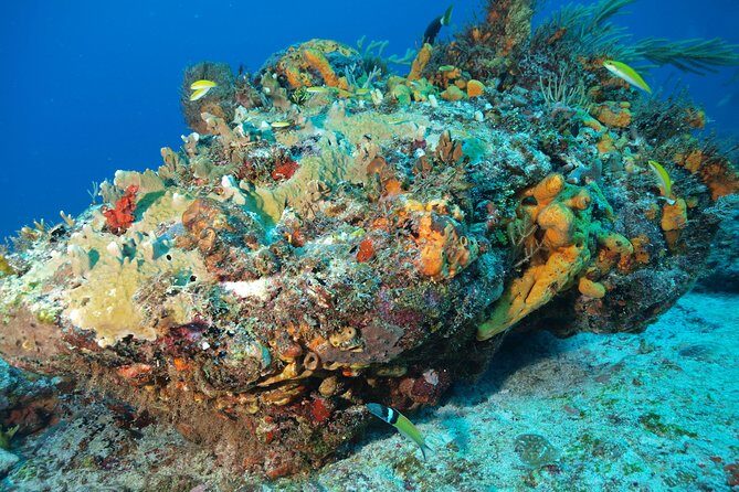 Discover Scuba Diving PADI in Playa del Carmen including underwater video - Theory Briefing: The Safety Stuff You Actually Use