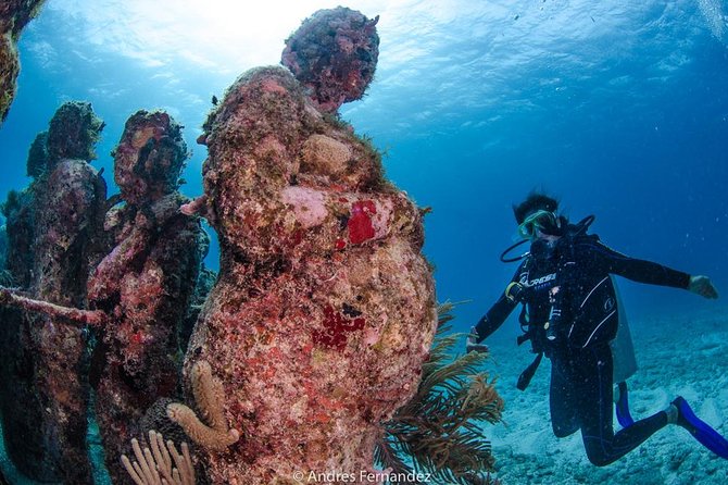 Discover scuba ,MUSA and Manchones reef dive without license - Manchones reef at about 33 feet: a smart next step after training
