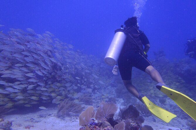 Discover Scuba - Your approximately 3-hour schedule and the two reef-session choice