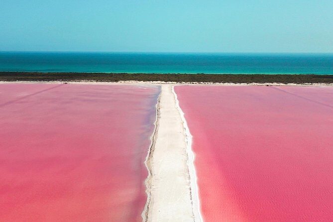 Discover the FABULOUS PINK WATERS in the Caribean - Crocodile farm visit: fun and hands-on, with an ethics reality check