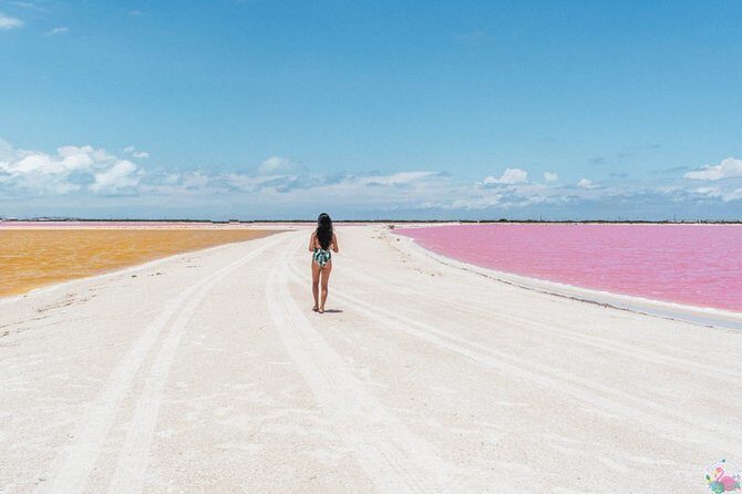 Discover the FABULOUS PINK WATERS in the Caribean - Who this tour is best for