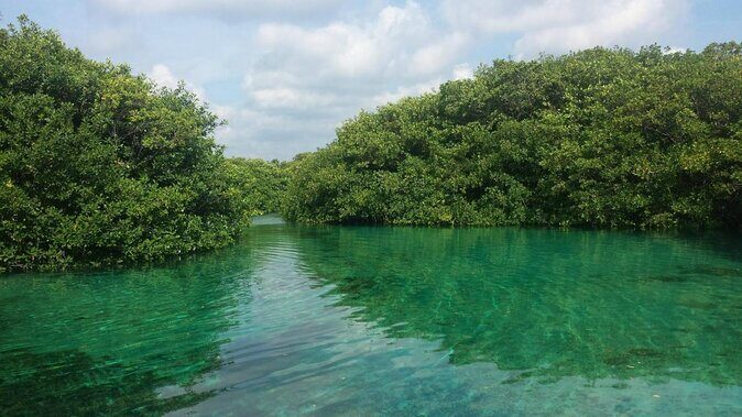 Discovering Breathtaking Cenotes in Tulum - Quick Hits: What You’ll Love About Dos Ojos + Casa Cenote