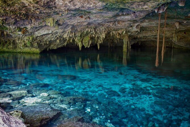 Discovering Breathtaking Cenotes in Tulum - Stop 2: Casa Cenote (Cenote Manati) for Open-Air Views and Current