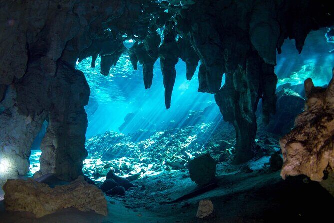 Discovering Breathtaking Cenotes in Tulum - Snorkeling Gear, Real Guidance, and a Group That Stays Small